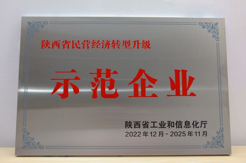 Shaanxi Private Economy Transformation and Upgrading Demonstration Enterprise